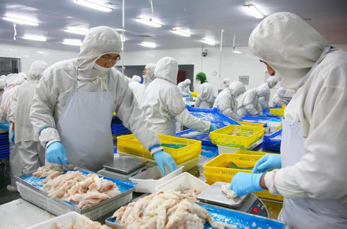 職業(yè)化設(shè)計視角下的食品工廠排水系統(tǒng)與婚姻介紹服務(wù)的共通點探析